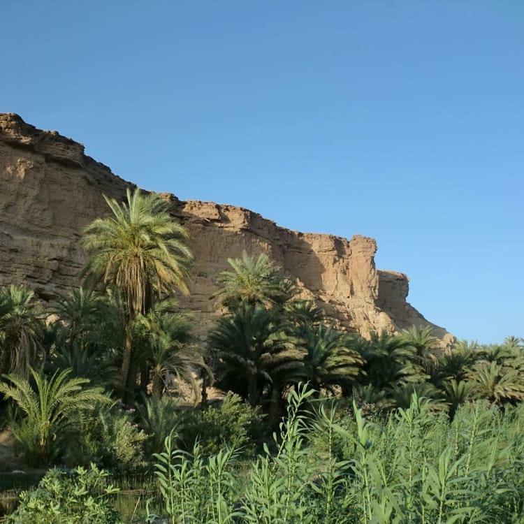 Amoudou Lodge Camp Tissint Esterno foto